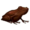 Image postée par le membre