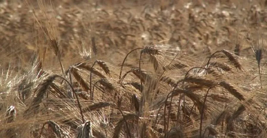 Image postée par le membre