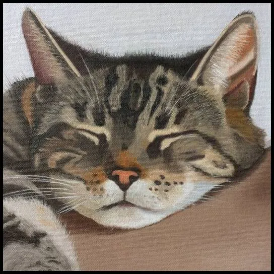 Image postée par le membre