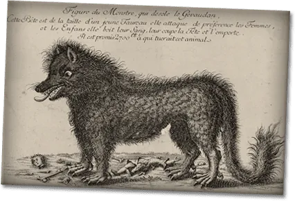 Image postée par le membre