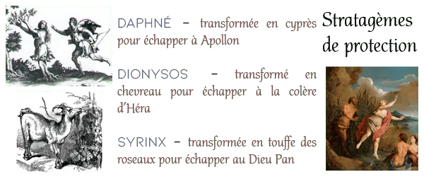 Image postée par le membre