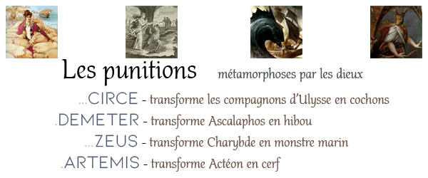 Image postée par le membre