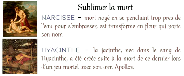 Image postée par le membre