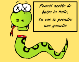Image postée par le membre