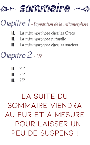 Image postée par le membre