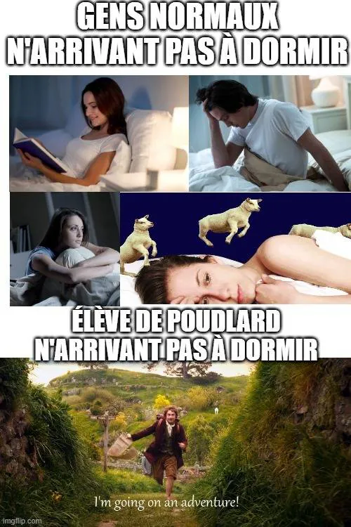Image postée par le membre