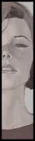 Image postée par le membre