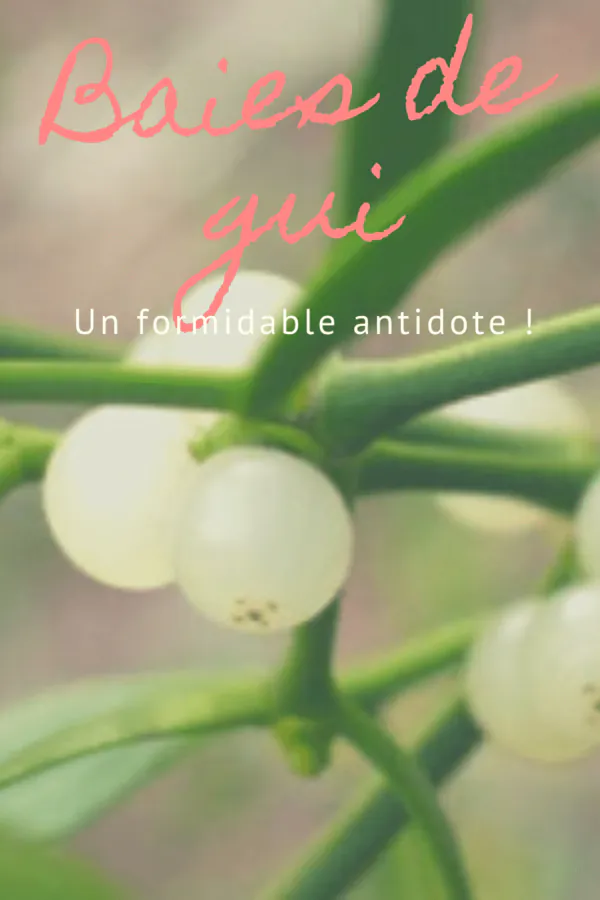 Image postée par le membre