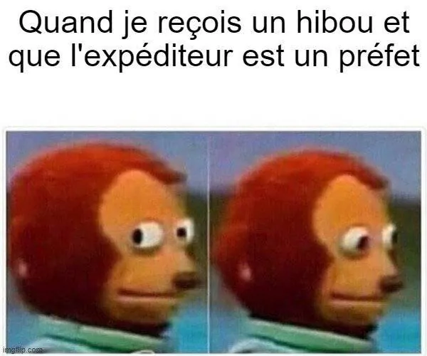Image postée par le membre