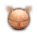 Image postée par le membre