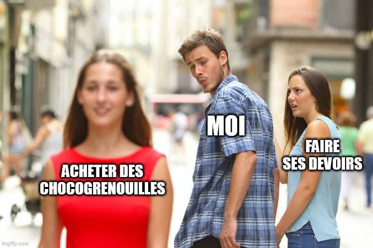 Image postée par le membre