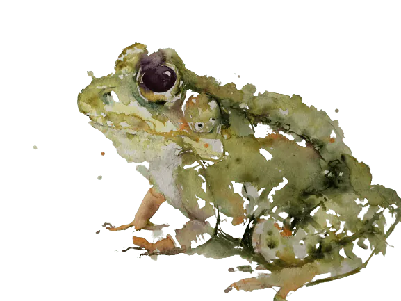 Image postée par le membre