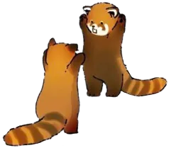 Image postée par le membre