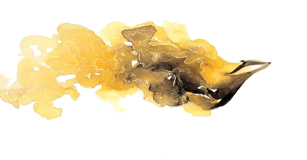 Image postée par le membre