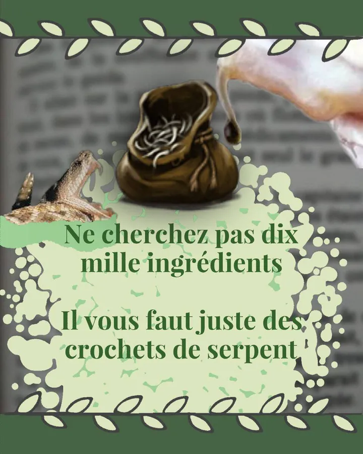 Image postée par le membre