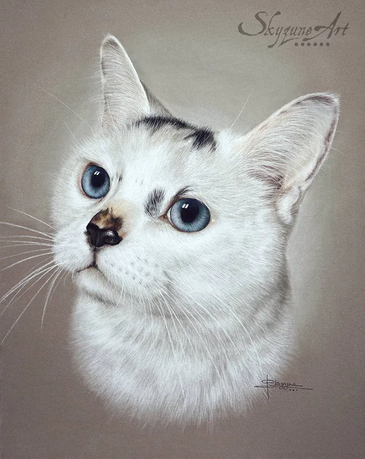 Image postée par le membre