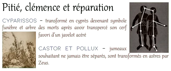 Image postée par le membre