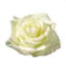 Image postée par le membre
