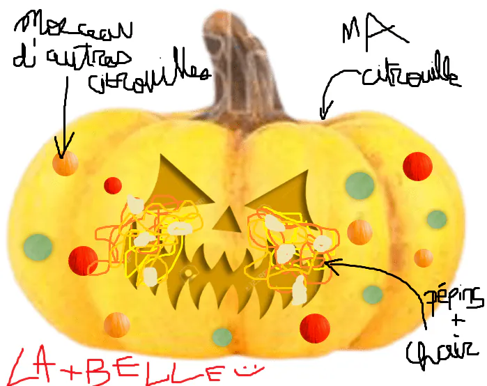 Image postée par le membre
