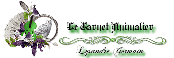 Image postée par le membre