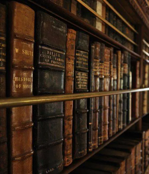 Image postée par le membre