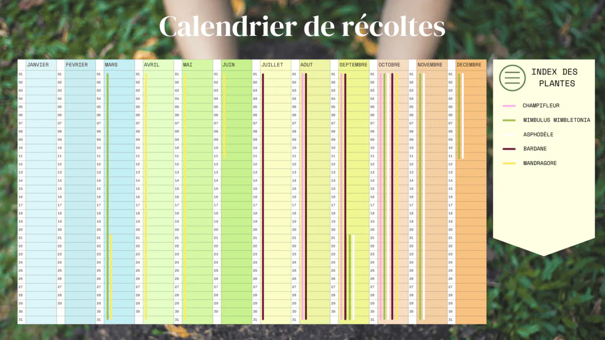 Image postée par le membre