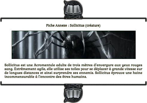 Image postée par le membre