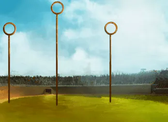 Image postée par le membre
