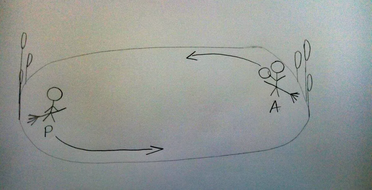 Image postée par le membre