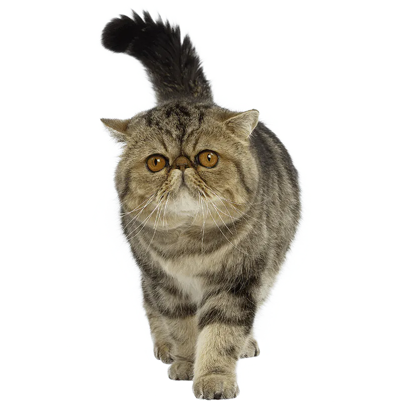 Image postée par le membre