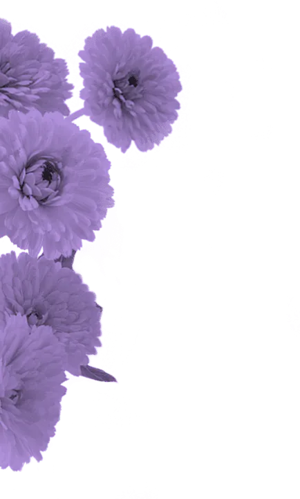 Image postée par le membre