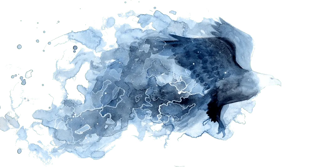 Image postée par le membre