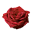 Image postée par le membre